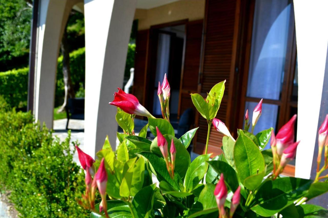 Le Grigne Guesthouse - The Garden Oliveto Lario Екстериор снимка